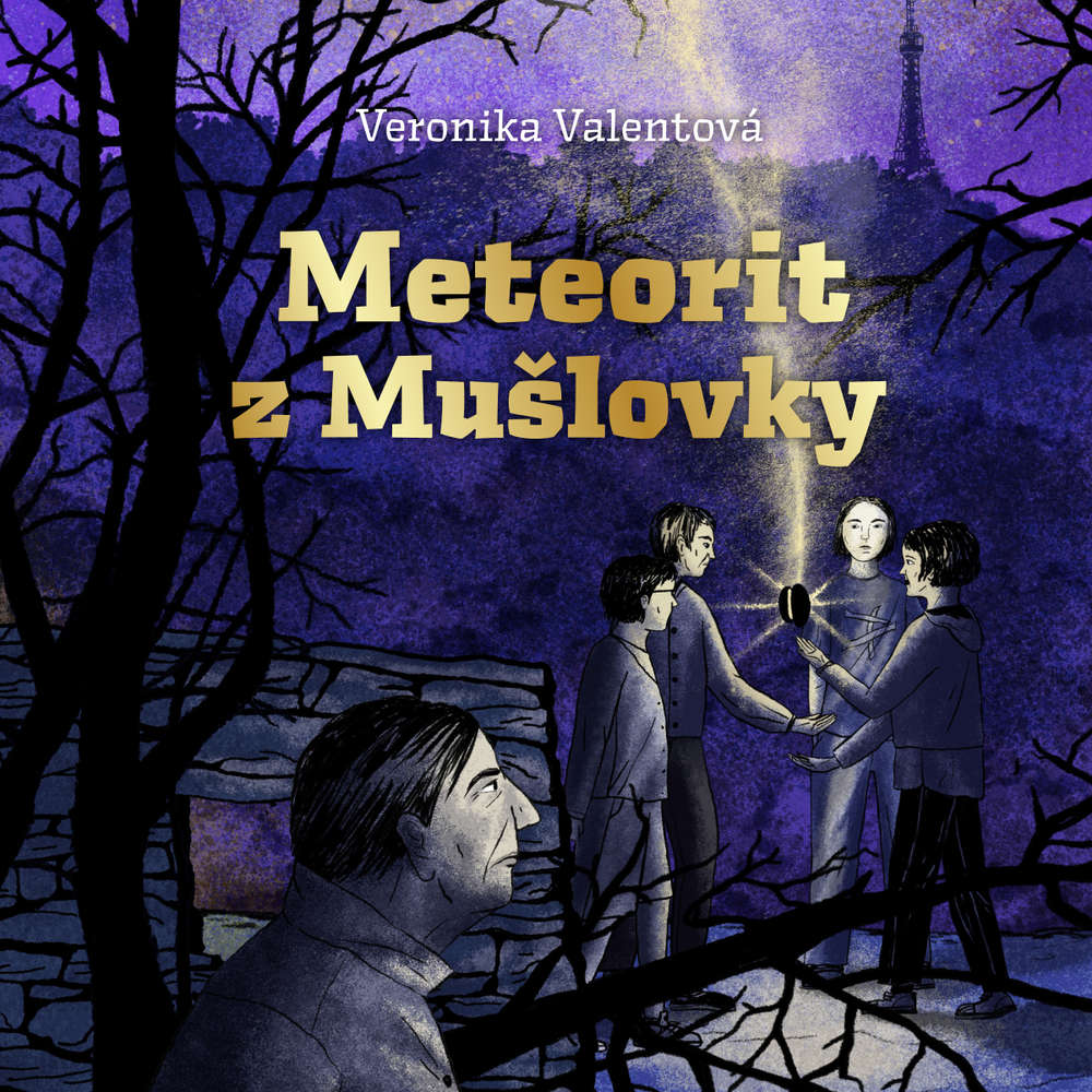 obal knihy - VALENTOVÁ, Veronika. Meteorit z Mušlovky.