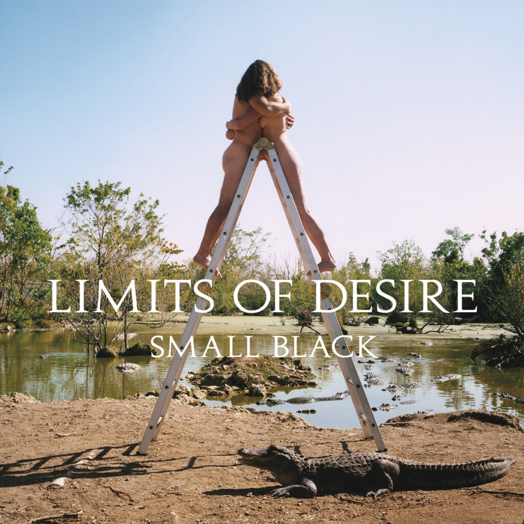 obal knihy - SMALL BLACK. Limits of desire.