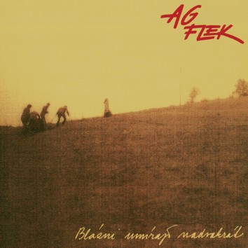 obal knihy - AG FLEK, Blázni umírají nadvakrát